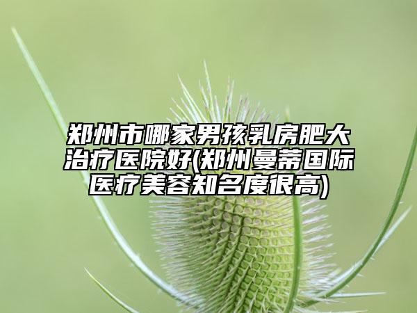鄭州市哪家男孩乳房肥大治療醫(yī)院好(鄭州曼蒂國(guó)際醫(yī)療美容知名度很高)