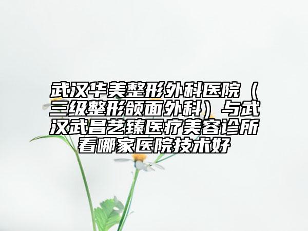 武漢華美整形外科醫(yī)院（三級整形頜面外科）與武漢武昌藝臻醫(yī)療美容診所看哪家醫(yī)院技術(shù)好