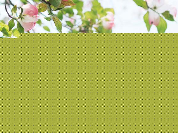 太原市嘴唇玻尿酸填充醫(yī)生排名前十名這幾位不容錯(cuò)過(guò)-太原市嘴唇玻尿酸填充整形醫(yī)生