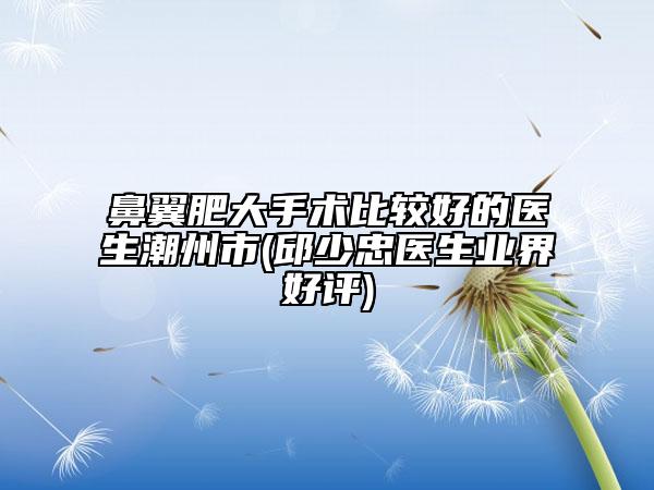 鼻翼肥大手術比較好的醫(yī)生潮州市(邱少忠醫(yī)生業(yè)界好評)