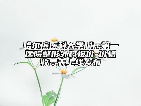 哈爾濱醫(yī)科大學(xué)附屬第一醫(yī)院整形外科報(bào)價(jià)-價(jià)格收費(fèi)表上線發(fā)布