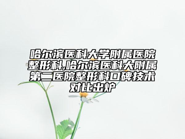 哈爾濱醫(yī)科大學(xué)附屬醫(yī)院整形科,哈爾濱醫(yī)科大附屬第二醫(yī)院整形科口碑技術(shù)對(duì)比出爐