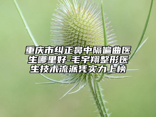 重慶市糾正鼻中隔偏曲醫(yī)生哪里好-毛宇翔整形醫(yī)生技術(shù)流派憑實(shí)力上榜