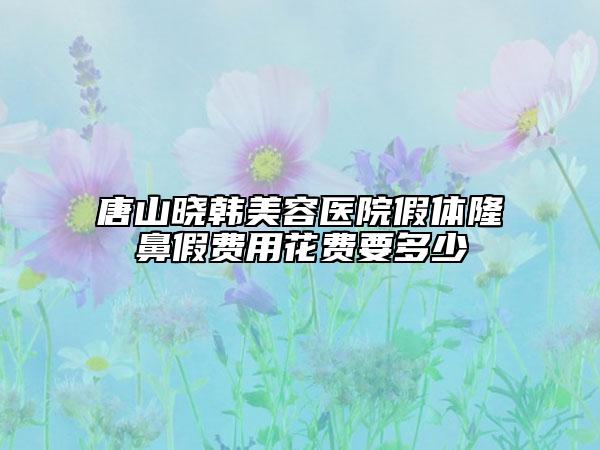 唐山曉韓美容醫(yī)院假體隆鼻假費(fèi)用花費(fèi)要多少