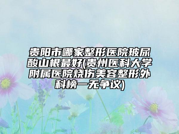 貴陽市哪家整形醫(yī)院玻尿酸山根最好(貴州醫(yī)科大學(xué)附屬醫(yī)院燒傷美容整形外科榜一無爭議)