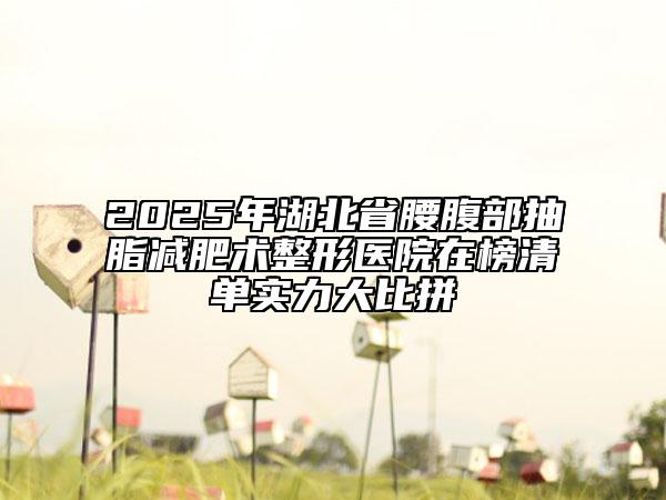 2025年湖北省腰腹部抽脂減肥術(shù)整形醫(yī)院在榜清單實(shí)力大比拼