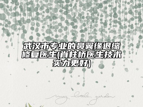 武漢市專業(yè)的鼻翼緣退縮修復(fù)醫(yī)生(肖柱橋醫(yī)生技術(shù)實(shí)力更好)