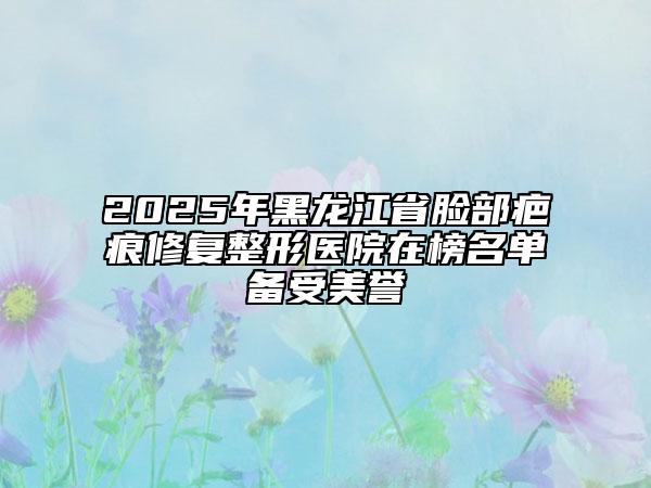 2025年黑龍江省臉部疤痕修復整形醫(yī)院在榜名單備受美譽