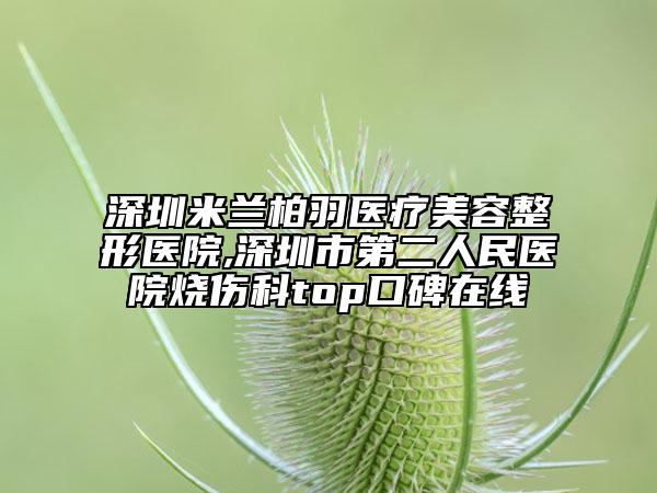 深圳米蘭柏羽醫(yī)療美容整形醫(yī)院,深圳市第二人民醫(yī)院燒傷科top口碑在線