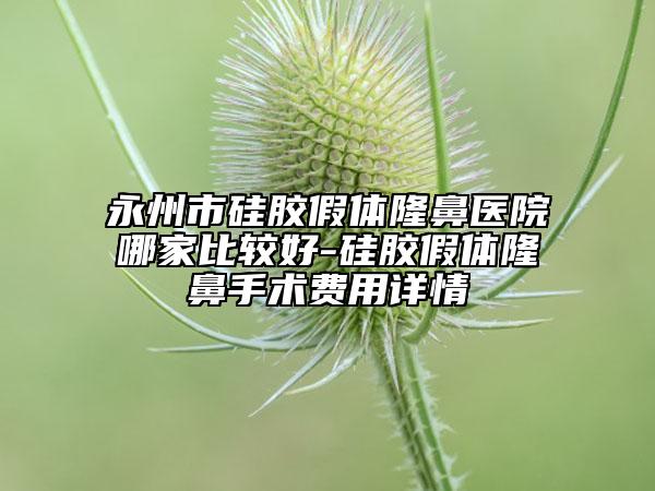 永州市硅膠假體隆鼻醫(yī)院哪家比較好-硅膠假體隆鼻手術(shù)費(fèi)用詳情