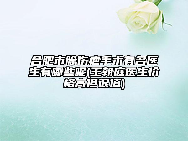 合肥市除傷疤手術(shù)有名醫(yī)生有哪些呢(王朝庭醫(yī)生價(jià)格高但很值)