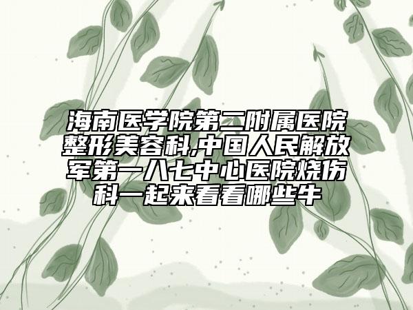 海南醫(yī)學(xué)院第二附屬醫(yī)院整形美容科,中國人民解放軍第一八七中心醫(yī)院燒傷科一起來看看哪些牛