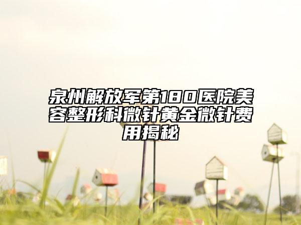 泉州解放軍第180醫(yī)院美容整形科微針黃金微針費用揭秘