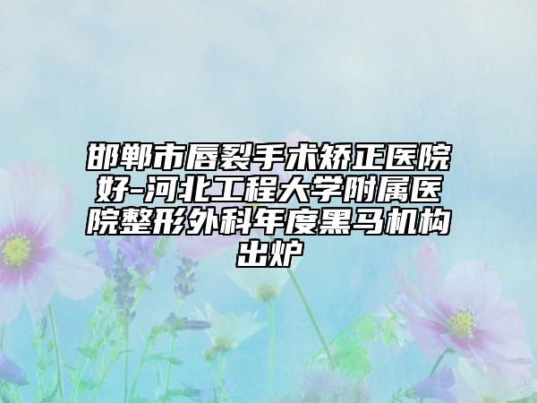 邯鄲市唇裂手術(shù)矯正醫(yī)院好-河北工程大學(xué)附屬醫(yī)院整形外科年度黑馬機(jī)構(gòu)出爐