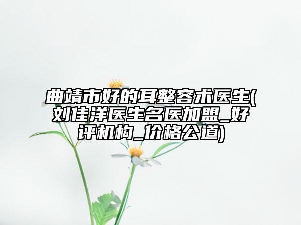 曲靖市好的耳整容術(shù)醫(yī)生(劉佳洋醫(yī)生名醫(yī)加盟_好評機(jī)構(gòu)_價(jià)格公道)