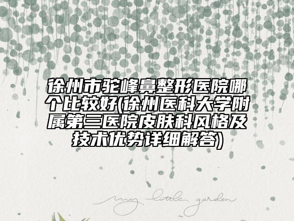 徐州市駝峰鼻整形醫(yī)院哪個(gè)比較好(徐州醫(yī)科大學(xué)附屬第三醫(yī)院皮膚科風(fēng)格及技術(shù)優(yōu)勢(shì)詳細(xì)解答)