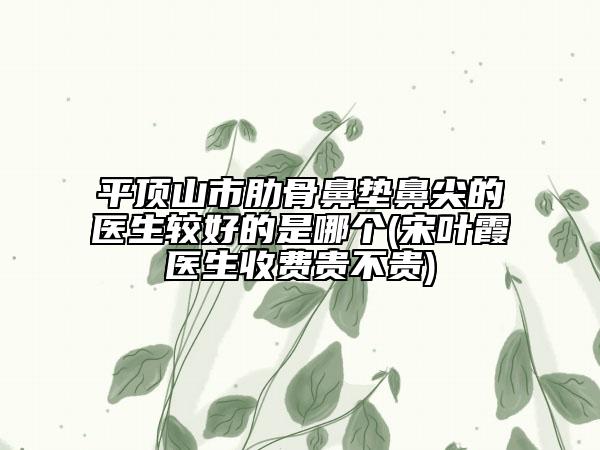 平頂山市肋骨鼻墊鼻尖的醫(yī)生較好的是哪個(gè)(宋葉霞醫(yī)生收費(fèi)貴不貴)