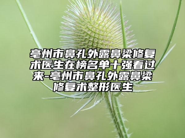 亳州市鼻孔外露鼻梁修復(fù)術(shù)醫(yī)生在榜名單十強(qiáng)看過來-亳州市鼻孔外露鼻梁修復(fù)術(shù)整形醫(yī)生