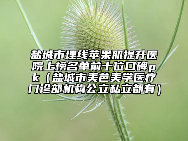 鹽城市埋線蘋果肌提升醫(yī)院上榜名單前十位口碑pk（鹽城市美芭美學醫(yī)療門診部機構(gòu)公立私立都有）