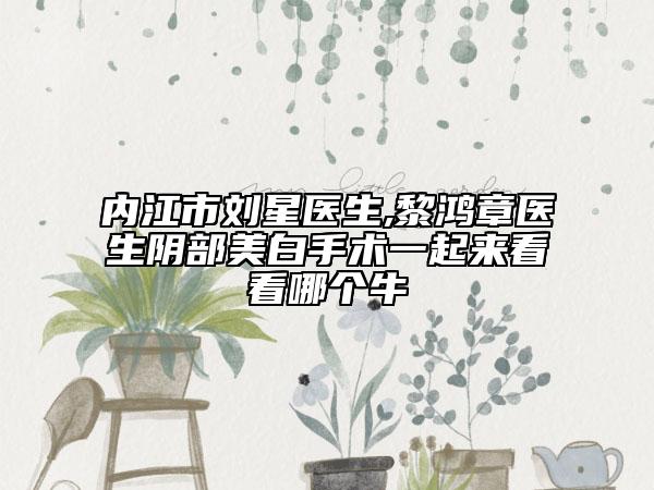 內(nèi)江市劉星醫(yī)生,黎鴻章醫(yī)生陰部美白手術(shù)一起來看看哪個牛