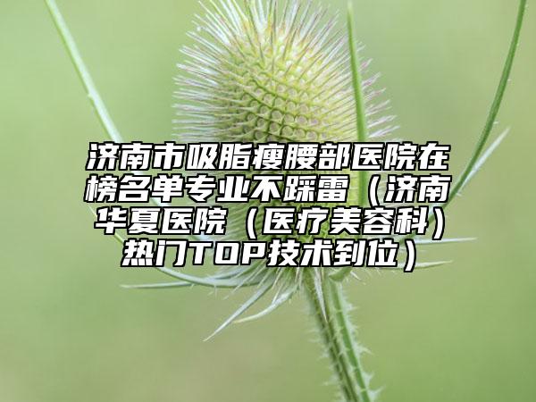 濟(jì)南市吸脂瘦腰部醫(yī)院在榜名單專業(yè)不踩雷（濟(jì)南華夏醫(yī)院（醫(yī)療美容科）熱門TOP技術(shù)到位）