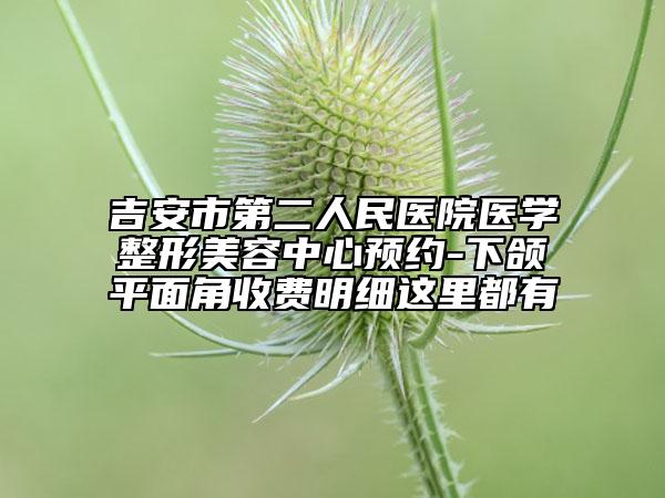 吉安市第二人民醫(yī)院醫(yī)學整形美容中心預約-下頜平面角收費明細這里都有