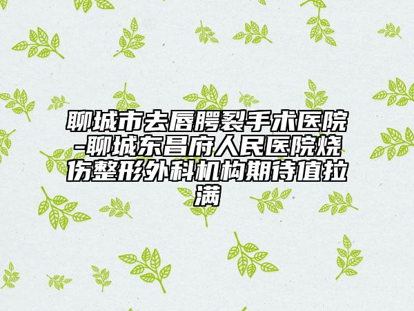 聊城市去唇腭裂手術(shù)醫(yī)院-聊城東昌府人民醫(yī)院燒傷整形外科機(jī)構(gòu)期待值拉滿