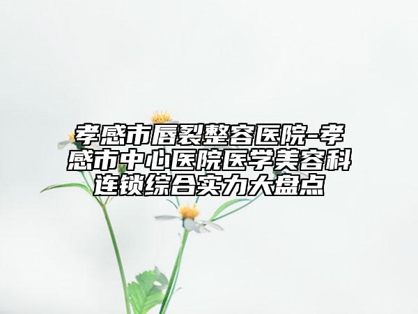 孝感市唇裂整容醫(yī)院-孝感市中心醫(yī)院醫(yī)學(xué)美容科連鎖綜合實(shí)力大盤點(diǎn)