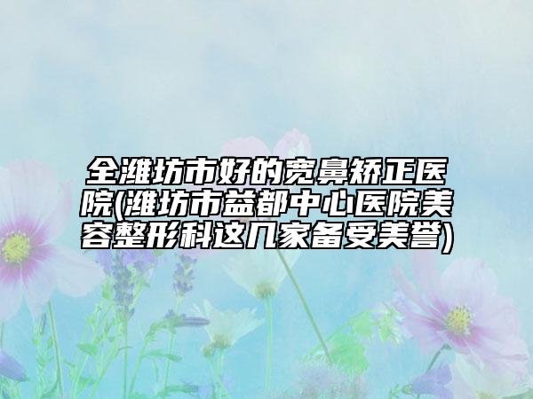 全濰坊市好的寬鼻矯正醫(yī)院(濰坊市益都中心醫(yī)院美容整形科這幾家備受美譽(yù))