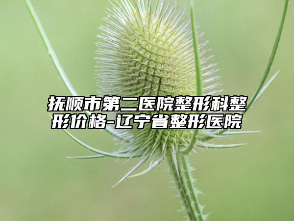 撫順市第二醫(yī)院整形科整形價(jià)格-遼寧省整形醫(yī)院