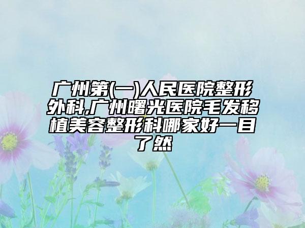 廣州第(一)人民醫(yī)院整形外科,廣州曙光醫(yī)院毛發(fā)移植美容整形科哪家好一目了然