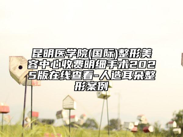 昆明醫(yī)學(xué)院(國(guó)際)整形美容中心收費(fèi)明細(xì)手術(shù)2025版在線查看-人造耳朵整形案例