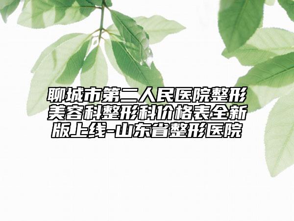 聊城市第二人民醫(yī)院整形美容科整形科價(jià)格表全新版上線(xiàn)-山東省整形醫(yī)院