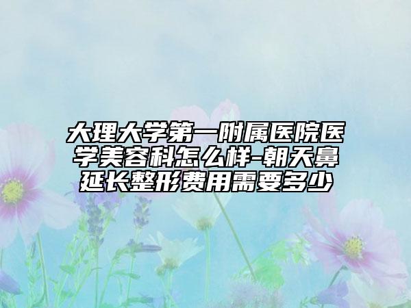 大理大學(xué)第一附屬醫(yī)院醫(yī)學(xué)美容科怎么樣-朝天鼻延長整形費(fèi)用需要多少