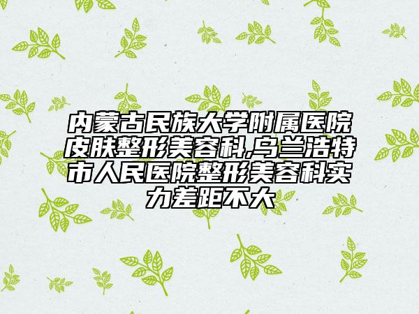 內(nèi)蒙古民族大學(xué)附屬醫(yī)院皮膚整形美容科,烏蘭浩特市人民醫(yī)院整形美容科實力差距不大
