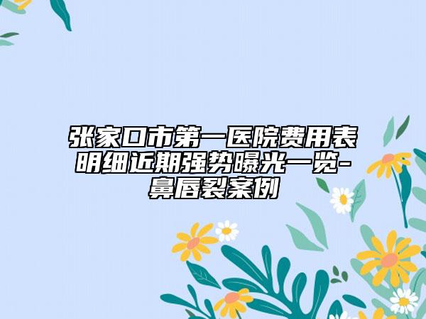 張家口市第一醫(yī)院費用表明細近期強勢曝光一覽-鼻唇裂案例