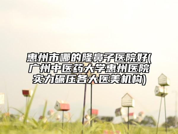 惠州市哪的隆鼻子醫(yī)院好(廣州中醫(yī)藥大學(xué)惠州醫(yī)院實(shí)力碾壓各大醫(yī)美機(jī)構(gòu))