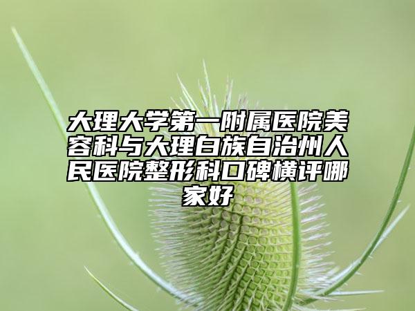 大理大學(xué)第一附屬醫(yī)院美容科與大理白族自治州人民醫(yī)院整形科口碑橫評(píng)哪家好
