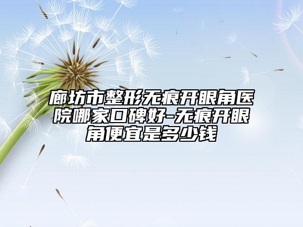廊坊市整形無痕開眼角醫(yī)院哪家口碑好-無痕開眼角便宜是多少錢