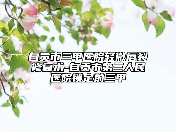 自貢市三甲醫(yī)院輕微唇裂修復(fù)術(shù)-自貢市第三人民醫(yī)院鎖定前三甲