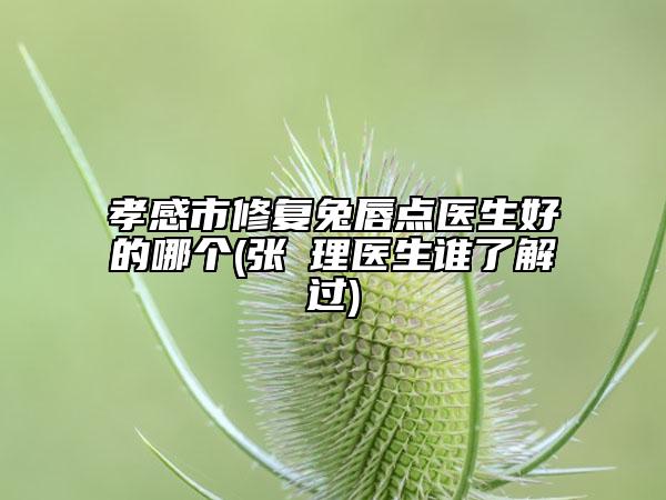 孝感市修復(fù)兔唇點醫(yī)生好的哪個(張睅理醫(yī)生誰了解過)