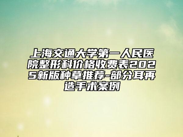 上海交通大學(xué)第一人民醫(yī)院整形科價格收費(fèi)表2025新版種草推薦-部分耳再造手術(shù)案例