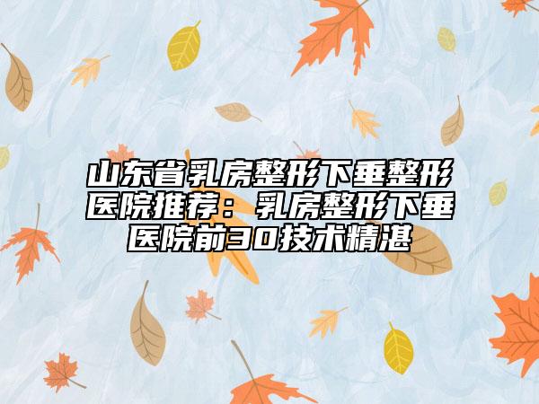 山東省乳房整形下垂整形醫(yī)院推薦：乳房整形下垂醫(yī)院前30技術(shù)精湛