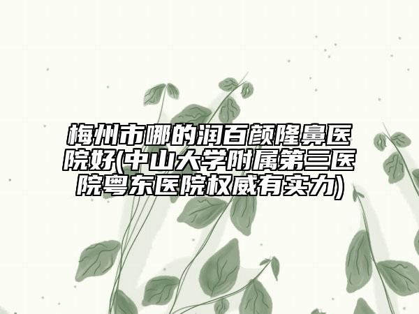 梅州市哪的潤百顏隆鼻醫(yī)院好(中山大學(xué)附屬第三醫(yī)院粵東醫(yī)院權(quán)威有實(shí)力)