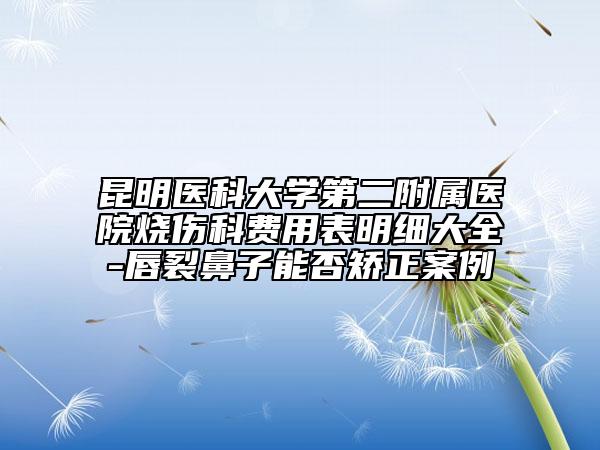 昆明醫(yī)科大學(xué)第二附屬醫(yī)院燒傷科費(fèi)用表明細(xì)大全-唇裂鼻子能否矯正案例