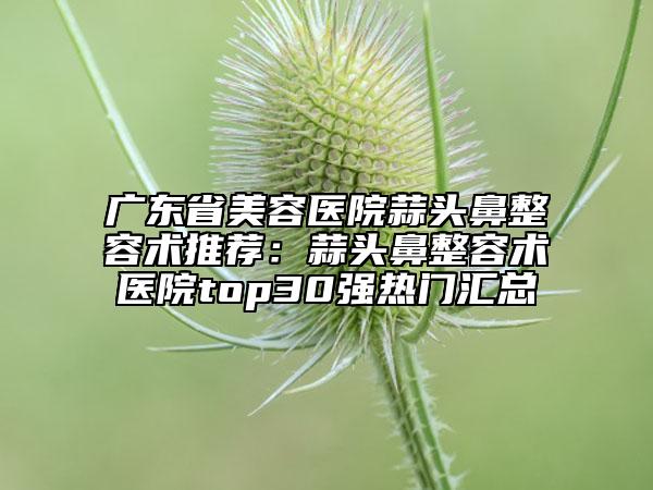 廣東省美容醫(yī)院蒜頭鼻整容術(shù)推薦：蒜頭鼻整容術(shù)醫(yī)院top30強(qiáng)熱門匯總