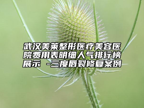 武漢美萊整形醫(yī)療美容醫(yī)院費(fèi)用表明細(xì)人氣排行榜展示 -三度唇裂修復(fù)案例