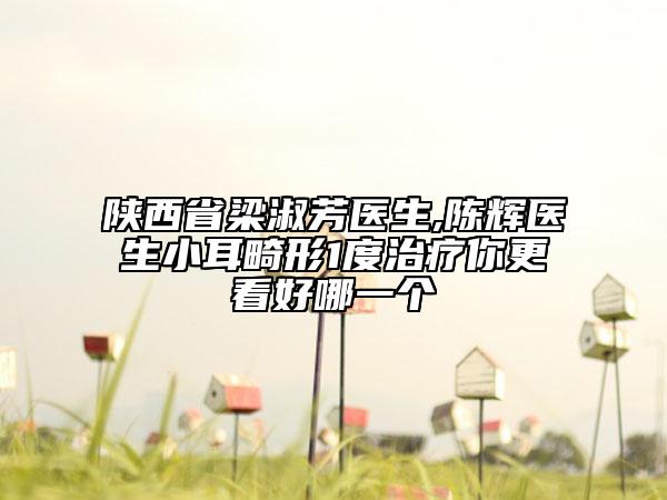 陜西省梁淑芳醫(yī)生,陳輝醫(yī)生小耳畸形1度治療你更看好哪一個(gè)