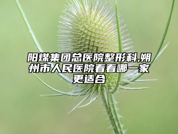 陽煤集團總醫(yī)院整形科,朔州市人民醫(yī)院看看哪一家更適合