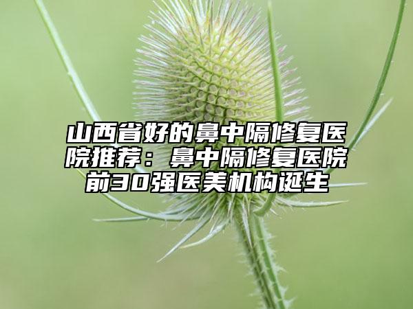 山西省好的鼻中隔修復(fù)醫(yī)院推薦：鼻中隔修復(fù)醫(yī)院前30強(qiáng)醫(yī)美機(jī)構(gòu)誕生